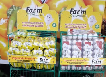 Best egg suppliers in Kerala